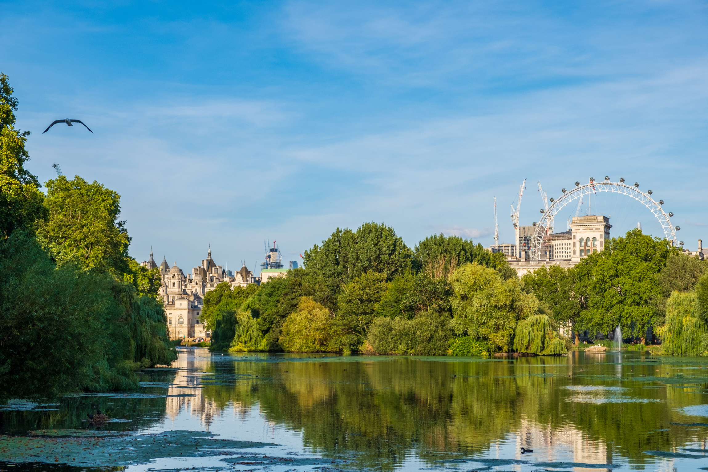 St James's Park in  London with London Eye in the Background.